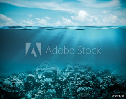 Picture of Sea or ocean underwater deep nature background